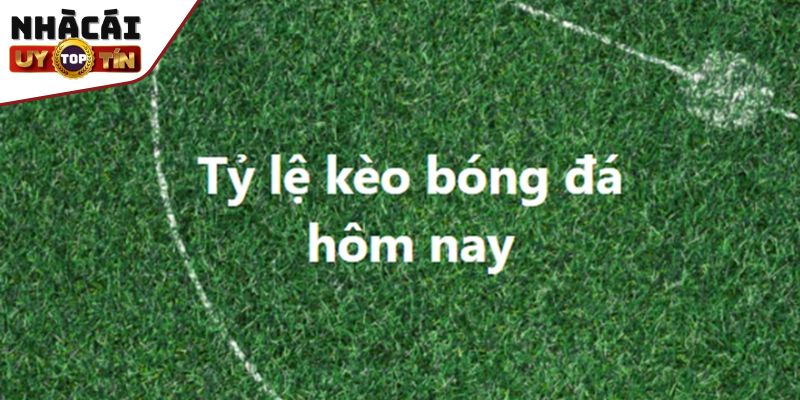 Tỷ Lệ Kèo Nhà Cái Là Gì? Những Tỷ Lệ Kèo Phổ Biến Và Lưu Ý 1 Tìm hiểu tỷ lệ kèo nhà cái là gì?